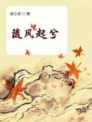 随风起兮云飞扬