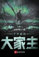 了不起的大家主演是谁