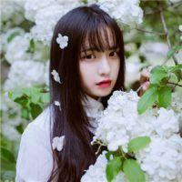 为你打开一扇窗无损音乐